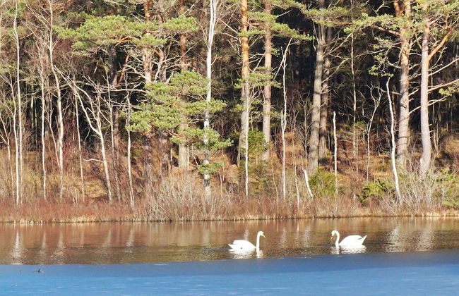 4 Person Holiday Home in Stromstad - Foto 9