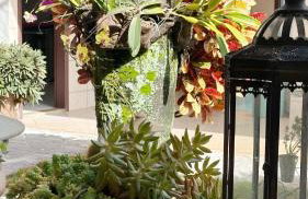 Mansão Primavera 03 quartos, piscina e churrasqueira - Foto 3