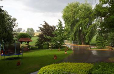 Ferienhof Papiermühle - Foto 6