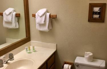 Mountainback #74 - Foto 8