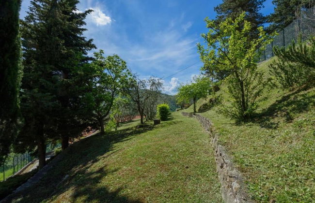 Agriturismo Poggio di Montepescoli - L'aia - Foto 34