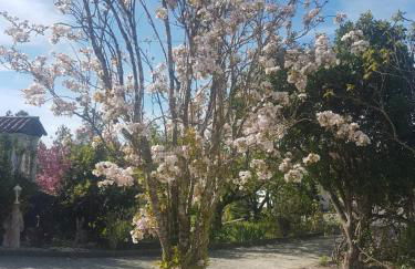 Cantinho das Barrocas - Foto 16