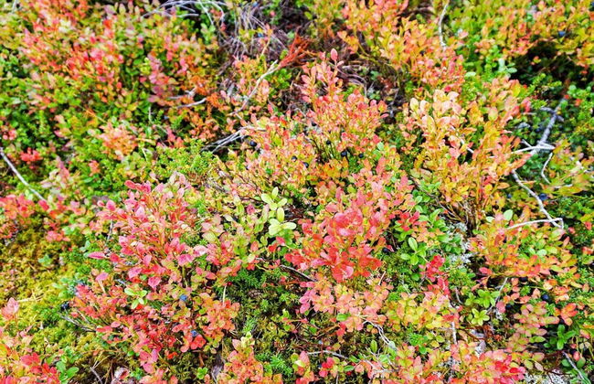 10 Person Holiday Home in Salen-by Traum - Foto 21