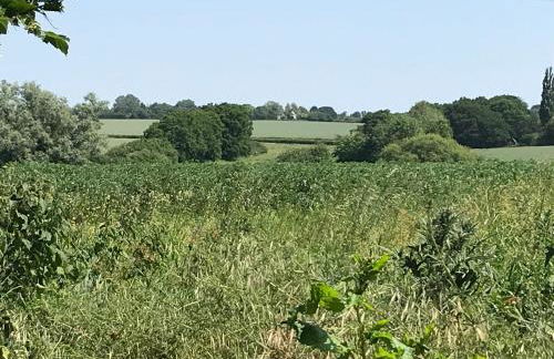 Home from Home in our Self-Contained Annexe - Foto 18