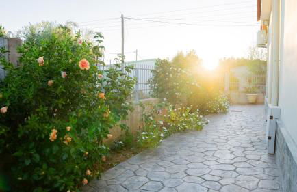 Η Αυλή της Μαρίας - Photo 21