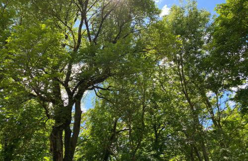 Manoir et Appartements avec piscine au Domaine de Bize Mirepoix - Foto 65