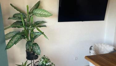 Stilvolle 90qm Wohnung mit Wintergarten - Photo 3