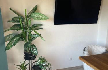 Stilvolle 90qm Wohnung mit Wintergarten - Photo 3