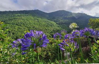 Apartamentos Rurales El Bosque de las Viñas - Photo 22