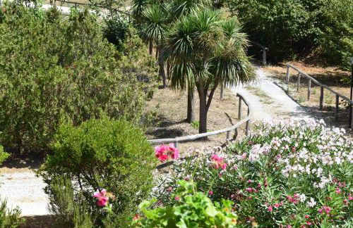 Fondo Santa Lucia - Foto 6