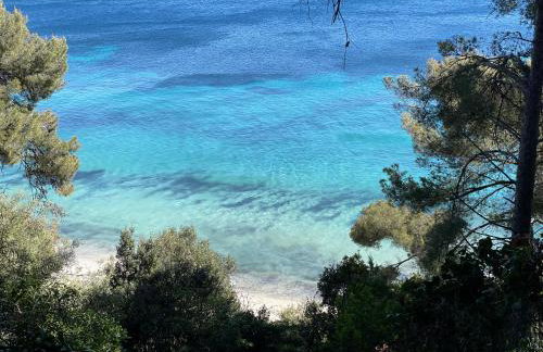 Location appartement au lavandou - Foto 9