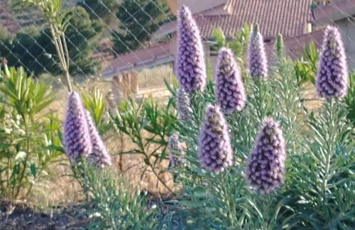 Villa Leyland - Foto 19