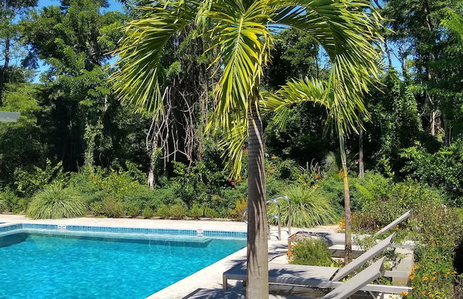 Palm Beach Inn - Foto 11