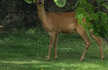 Octon Cottages Luxury 1 and 2 Bedroom cottages 1 mile from Taunton centre - Foto 68