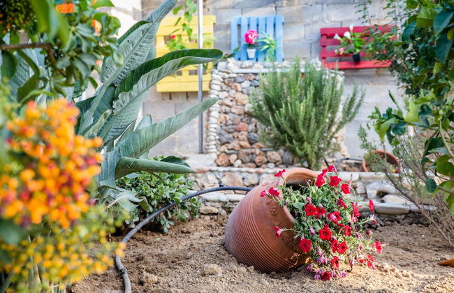 Aadonis Villa - Foto 43