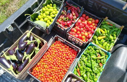 Il Cerro Agriturismo Zagarese - Photo 15