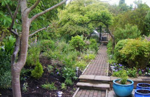 Ye Olde Cottage - Photo 51