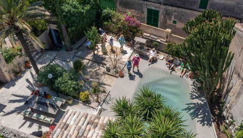 León de Sineu - Foto 3, Garden