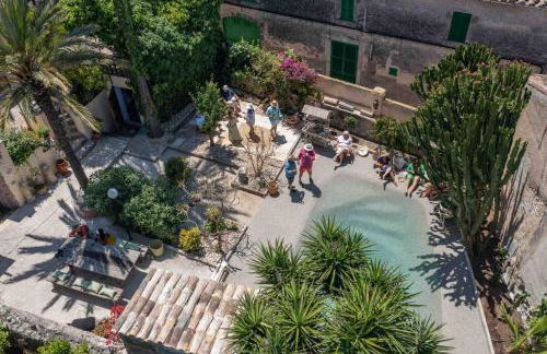 León de Sineu - Foto 3