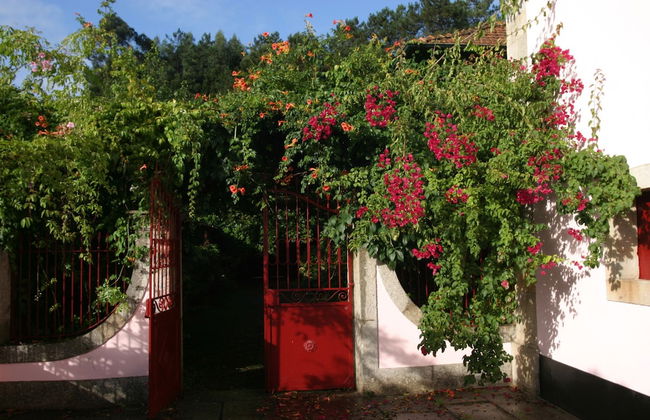 Quinta da Picaria - Foto 33