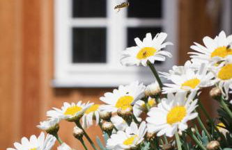 Kulturdenkmal Umgebinde1657 - Foto 16