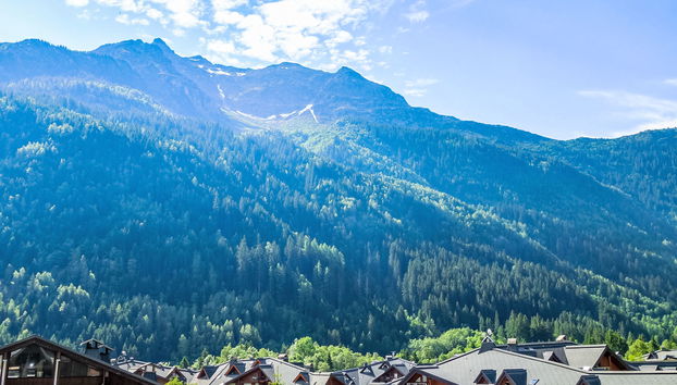 Apartment Le Brûlaz by Interhome - Photo 2, View