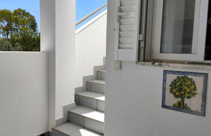 EstrelasDourada ALVOR Limoeiro - Foto 52