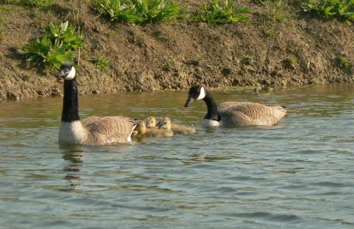 Elms Farm - Photo 32