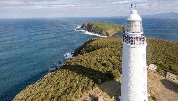 Bruny Island Wilderness Cruise and Bus Transfer from Hobart - Photo 5