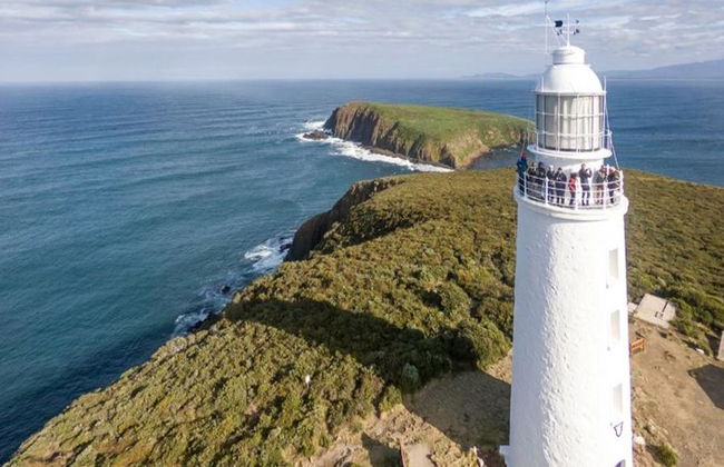 Bruny Island Safari - Food, Sightseeing and lighthouse Tour - Photo 3