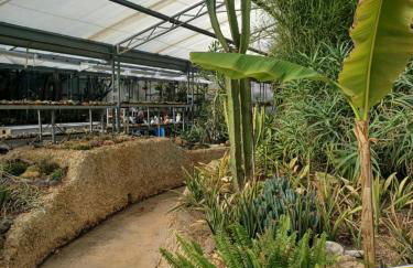 Il bosco sul Tevere Guest house - Foto 36