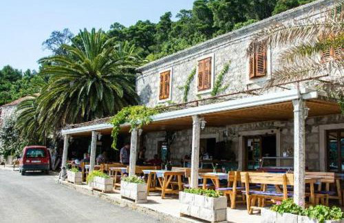 Pansion Mali Raj - Photo 9