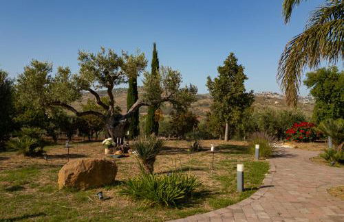 Colle dei Rustici / Ospitalità in Sicilia - Foto 7