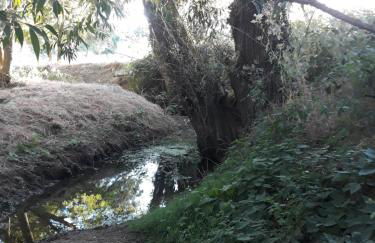 La Fresneda de Polendos - Foto 27