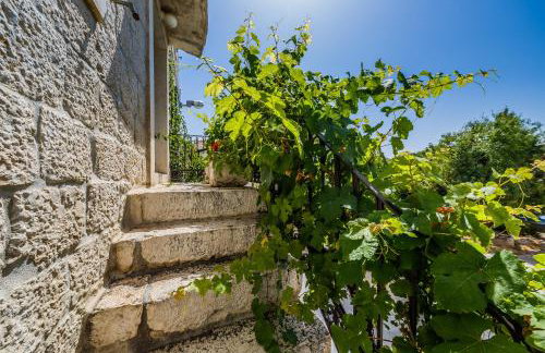 Villa Rustica Dalmatia - Photo 53