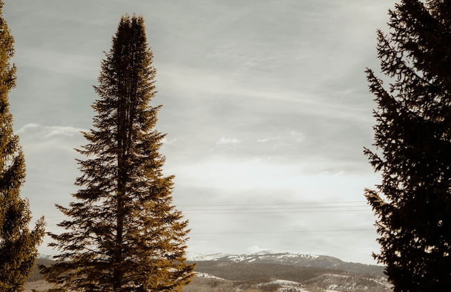 Teton Valley Resort - Foto 63