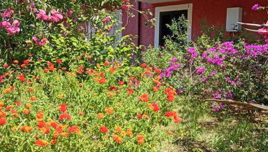 Alla Villa - Photo 2, Garden, Garden view