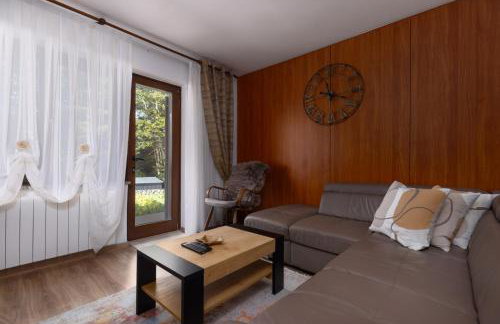 Apartaman Goga - Foto 19