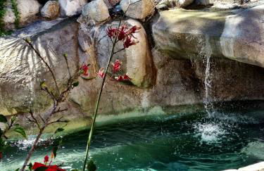 Rent Laguna Beach Sanctuary - Foto 34