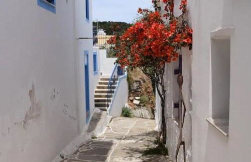 La Maison de Bella - Photo 5
