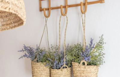 La Pita Añil - Pozo de los Frailes - Foto 43