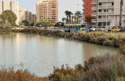 Abracadabra Calpe - Photo 75