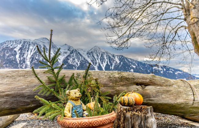 Ferienwohnung Plattner - Foto 48