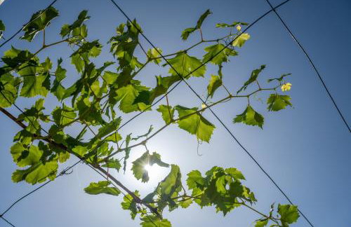 Casa Caimari - Photo 23