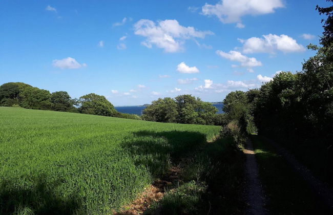 8 Person Holiday Home in Aabenraa - Foto 16