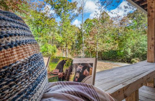 Big Yard Family Getaway - Pets OK - Grill and Hike - Foto 37