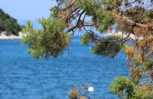 Apartments Leo Katić - Foto 13