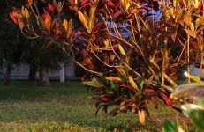 Casa encantadora 900m da PRAIA de Itaipuaçu - Foto 68