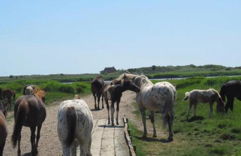 Seaside retreat in Mudeford - Foto 28
