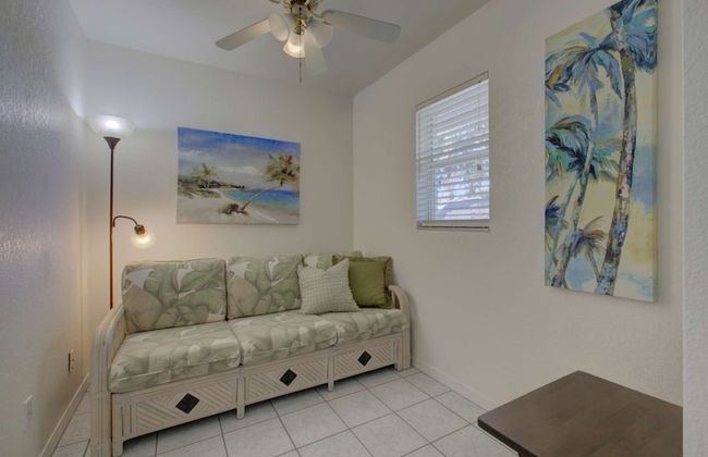 Smiling Dolphin - Foto 11